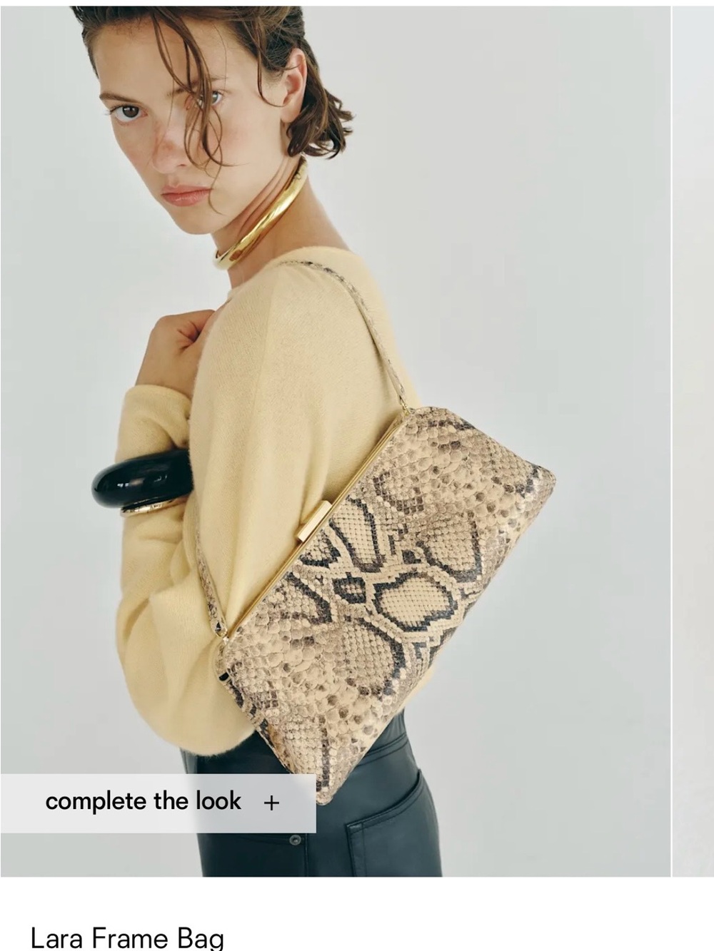 BCBG Beige Python-Print Frame Shoulder Bag